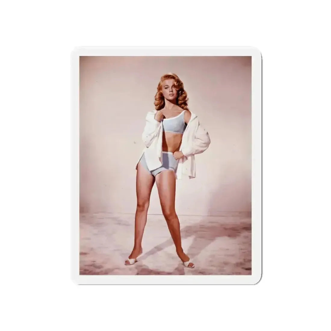 Ann-Margret #146 (Vintage Female Icon) Refrigerator Magnet - The Sticker Space