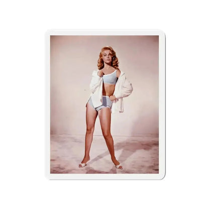 Ann-Margret #146 (Vintage Female Icon) Refrigerator Magnet - The Sticker Space