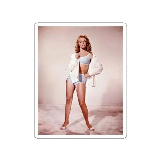 Ann-Margret #146 (Vintage Female Icon) STICKER Vinyl Die-Cut Decal White Die-Cut 2 Inch - The Sticker Space