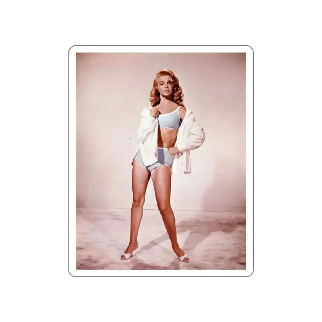 Ann-Margret #146 (Vintage Female Icon) STICKER Vinyl Die-Cut Decal White Die-Cut 3 Inch - The Sticker Space