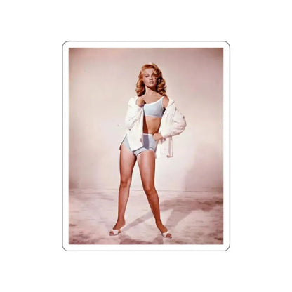 Ann-Margret #146 (Vintage Female Icon) STICKER Vinyl Die-Cut Decal White Die-Cut 3 Inch - The Sticker Space