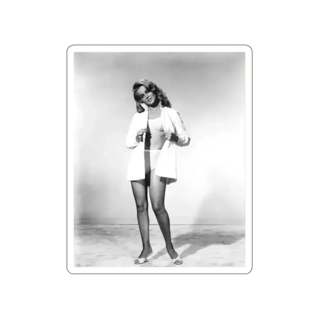 Ann-Margret #147 (Vintage Female Icon) STICKER Vinyl Die-Cut Decal - The Sticker Space