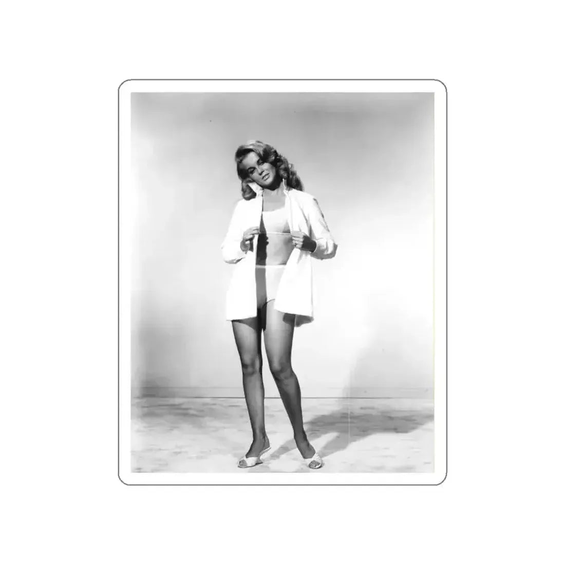 Ann-Margret #147 (Vintage Female Icon) STICKER Vinyl Die-Cut Decal - The Sticker Space