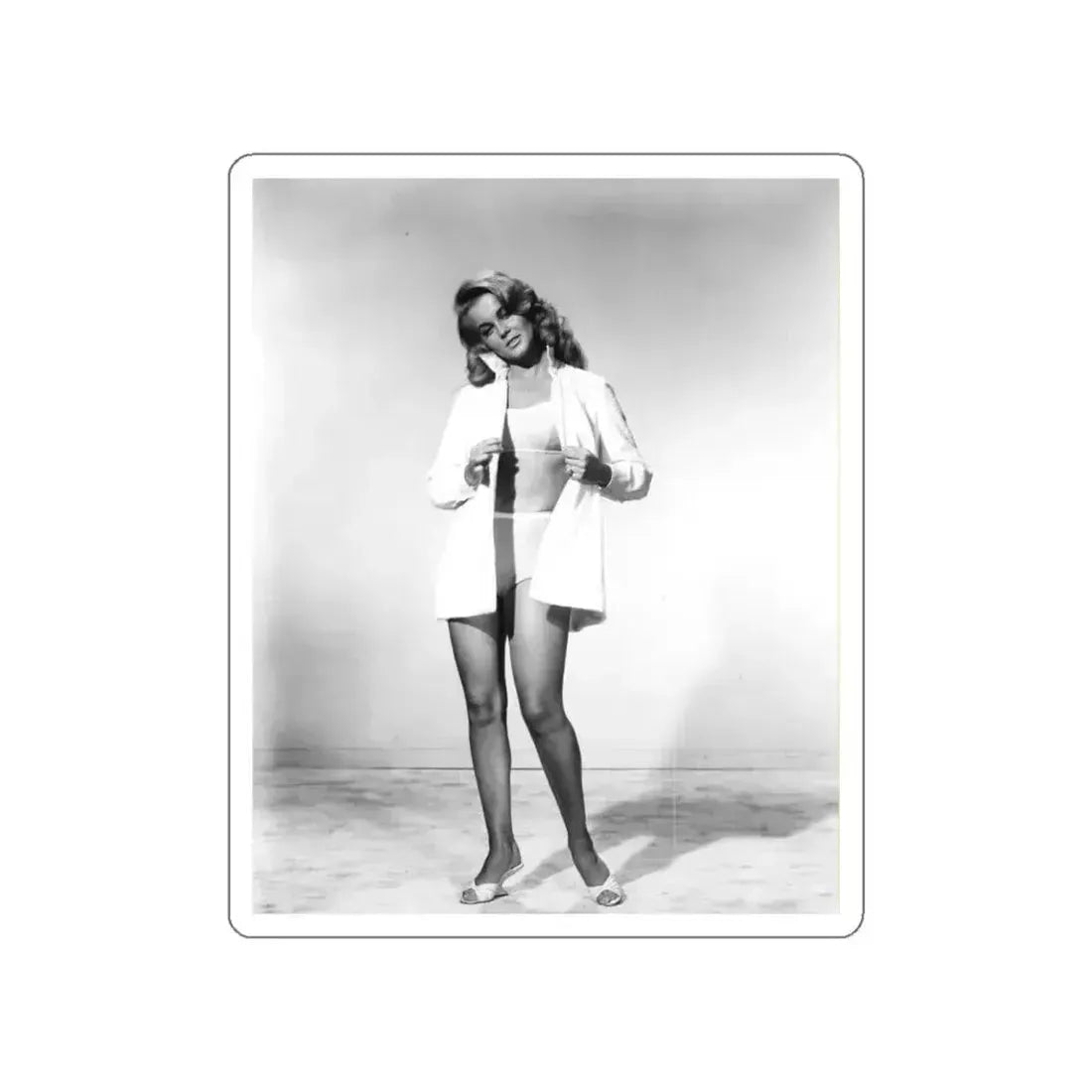 Ann-Margret #147 (Vintage Female Icon) STICKER Vinyl Die-Cut Decal White Die-Cut 5 Inch - The Sticker Space