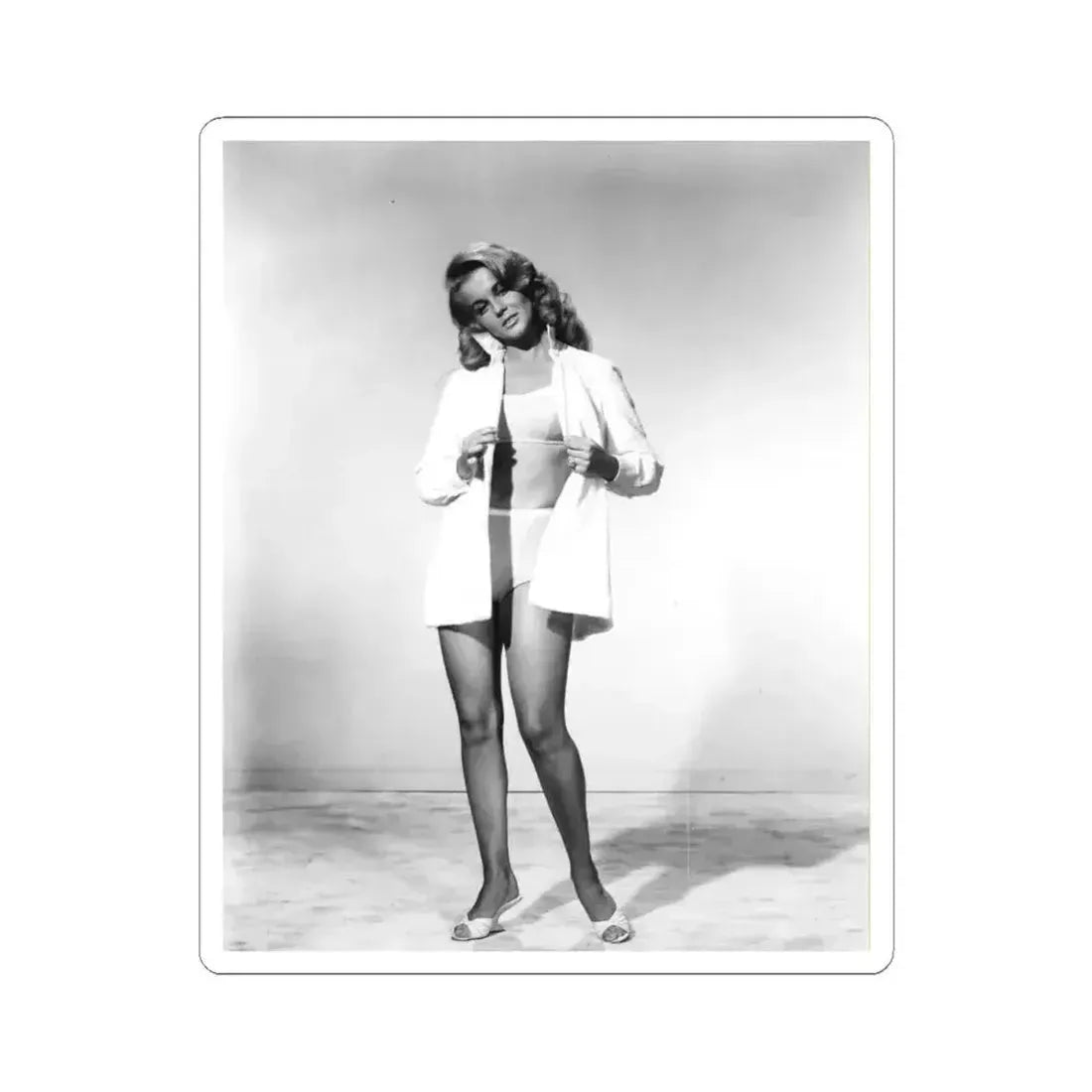 Ann-Margret #147 (Vintage Female Icon) STICKER Vinyl Kiss-Cut Decal 4 Inch White - The Sticker Space