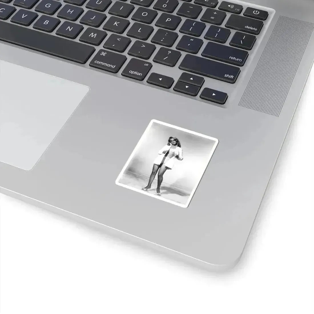 Ann-Margret #147 (Vintage Female Icon) STICKER Vinyl Kiss-Cut Decal - The Sticker Space