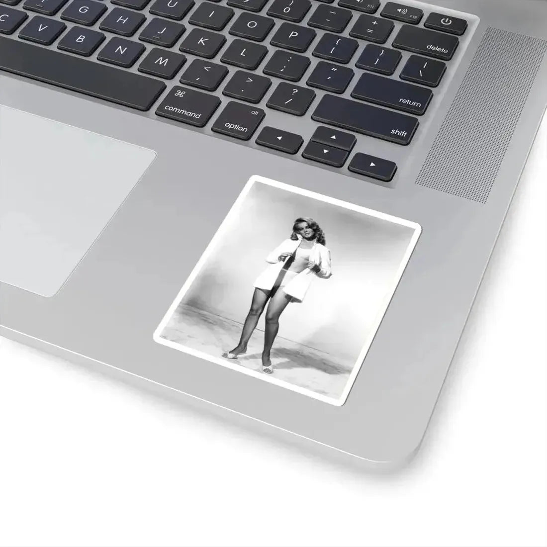 Ann-Margret #147 (Vintage Female Icon) STICKER Vinyl Kiss-Cut Decal - The Sticker Space