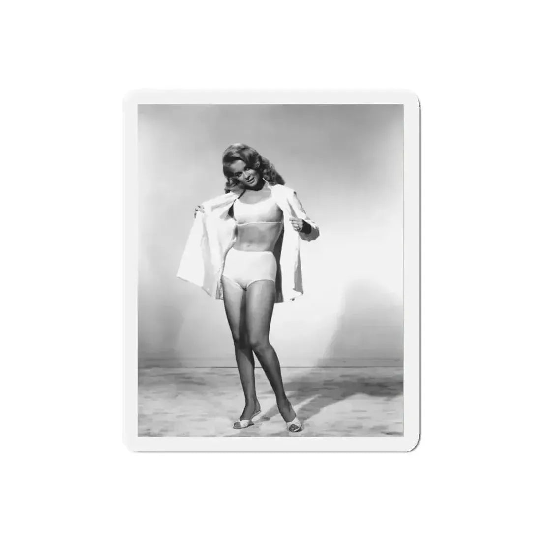 Ann-Margret #148 (Vintage Female Icon) Refrigerator Magnet - The Sticker Space
