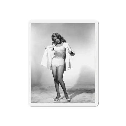 Ann-Margret #148 (Vintage Female Icon) Refrigerator Magnet - The Sticker Space