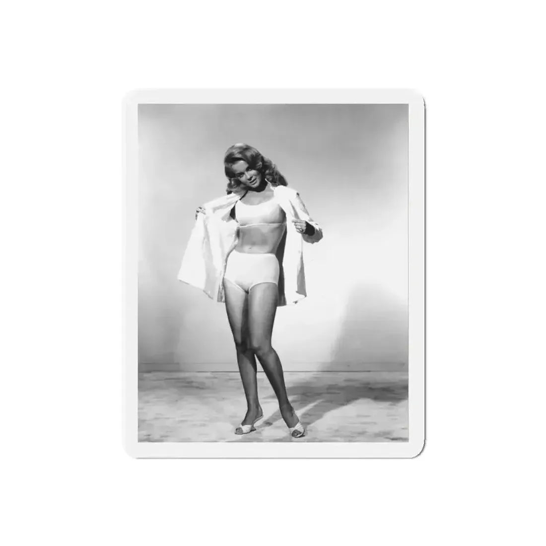 Ann-Margret #148 (Vintage Female Icon) Refrigerator Magnet - The Sticker Space