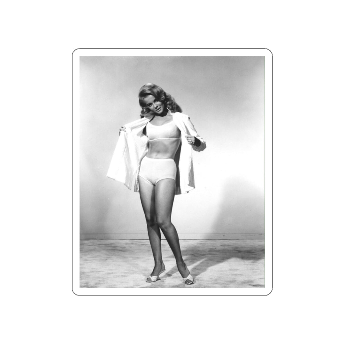 Ann-Margret #148 (Vintage Female Icon) STICKER Vinyl Die-Cut Decal-White-The Sticker Space