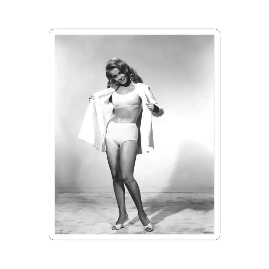 Ann-Margret #148 (Vintage Female Icon) STICKER Vinyl Kiss-Cut Decal 4 Inch White - The Sticker Space