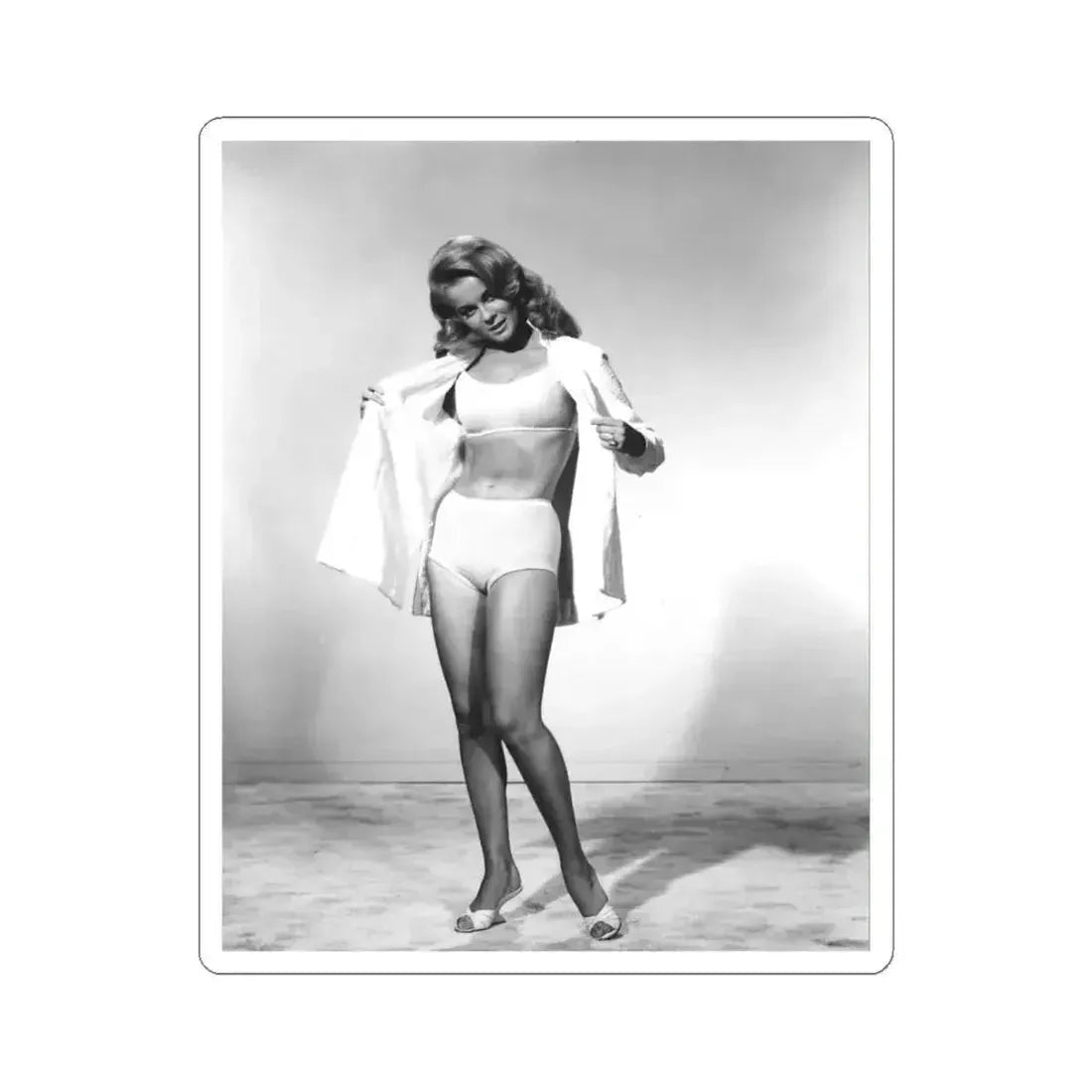 Ann-Margret #148 (Vintage Female Icon) STICKER Vinyl Kiss-Cut Decal 6 Inch White - The Sticker Space