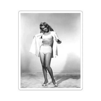 Ann-Margret #148 (Vintage Female Icon) STICKER Vinyl Kiss-Cut Decal 6 Inch White - The Sticker Space