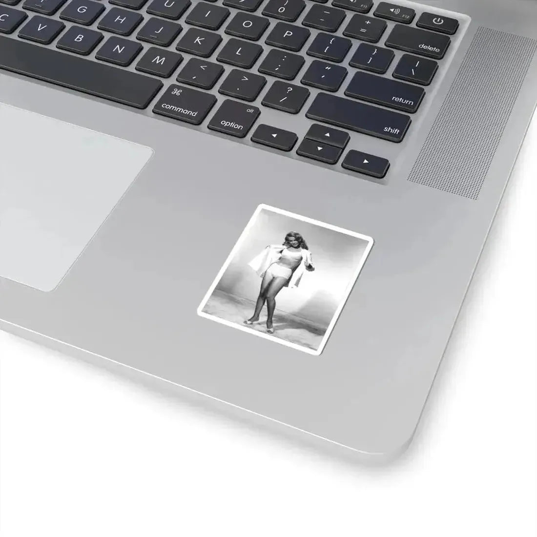 Ann-Margret #148 (Vintage Female Icon) STICKER Vinyl Kiss-Cut Decal - The Sticker Space