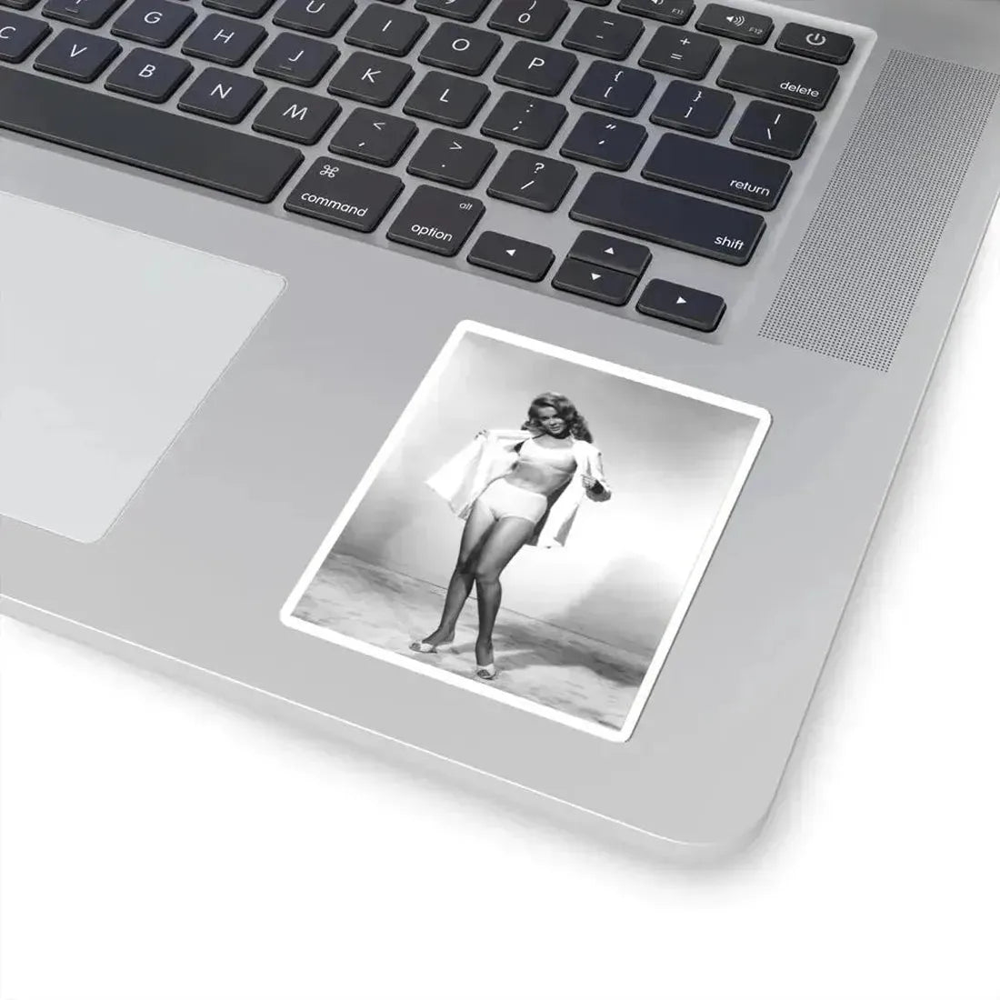 Ann-Margret #148 (Vintage Female Icon) STICKER Vinyl Kiss-Cut Decal - The Sticker Space