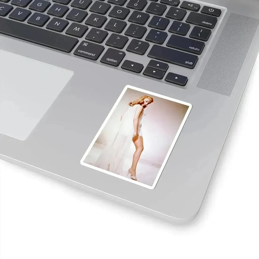 Ann-Margret #149 (Vintage Female Icon) STICKER Vinyl Kiss-Cut Decal - The Sticker Space