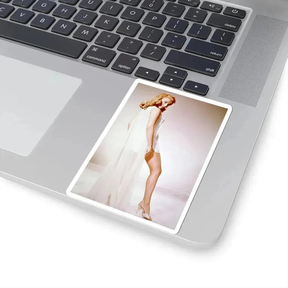 Ann-Margret #149 (Vintage Female Icon) STICKER Vinyl Kiss-Cut Decal - The Sticker Space