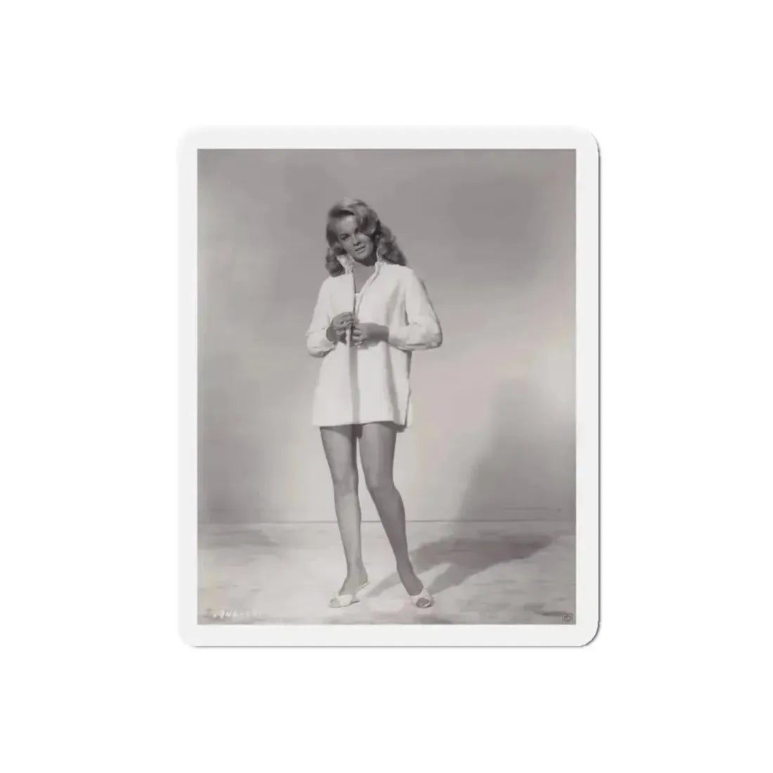Ann-Margret #150 (Vintage Female Icon) Refrigerator Magnet - The Sticker Space