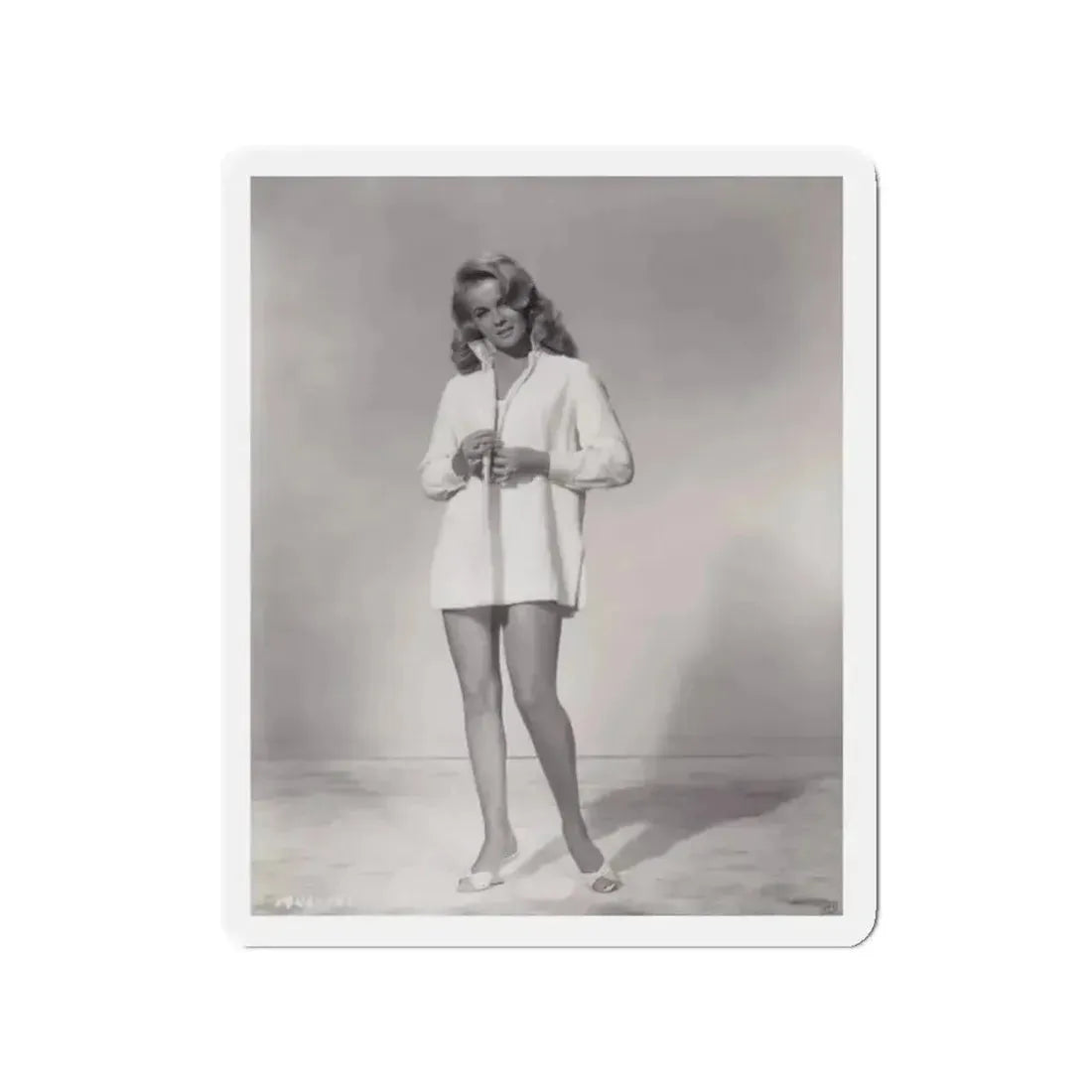 Ann-Margret #150 (Vintage Female Icon) Refrigerator Magnet - The Sticker Space