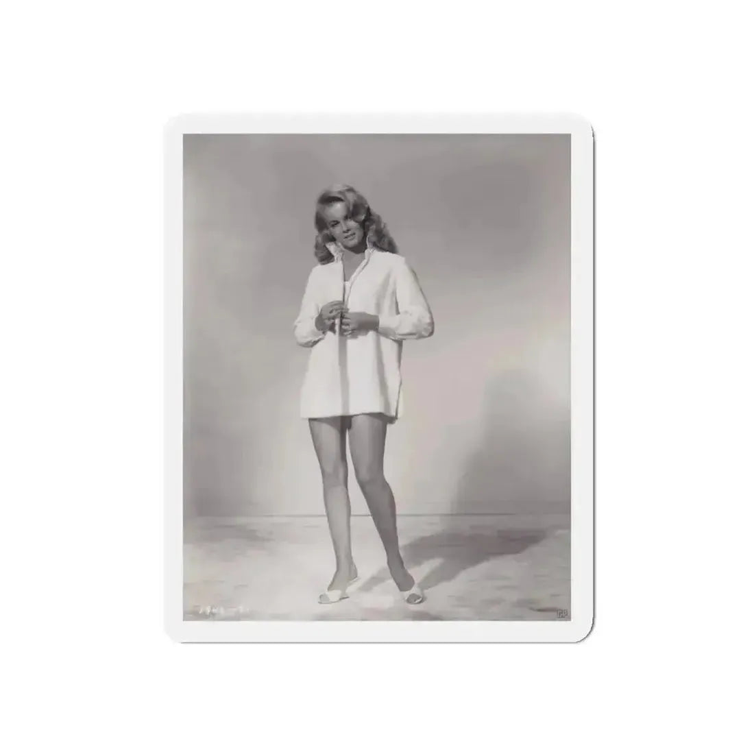 Ann-Margret #150 (Vintage Female Icon) Refrigerator Magnet - The Sticker Space
