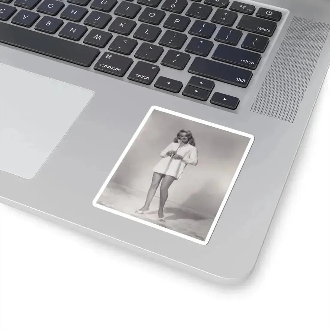 Ann-Margret #150 (Vintage Female Icon) STICKER Vinyl Kiss-Cut Decal - The Sticker Space