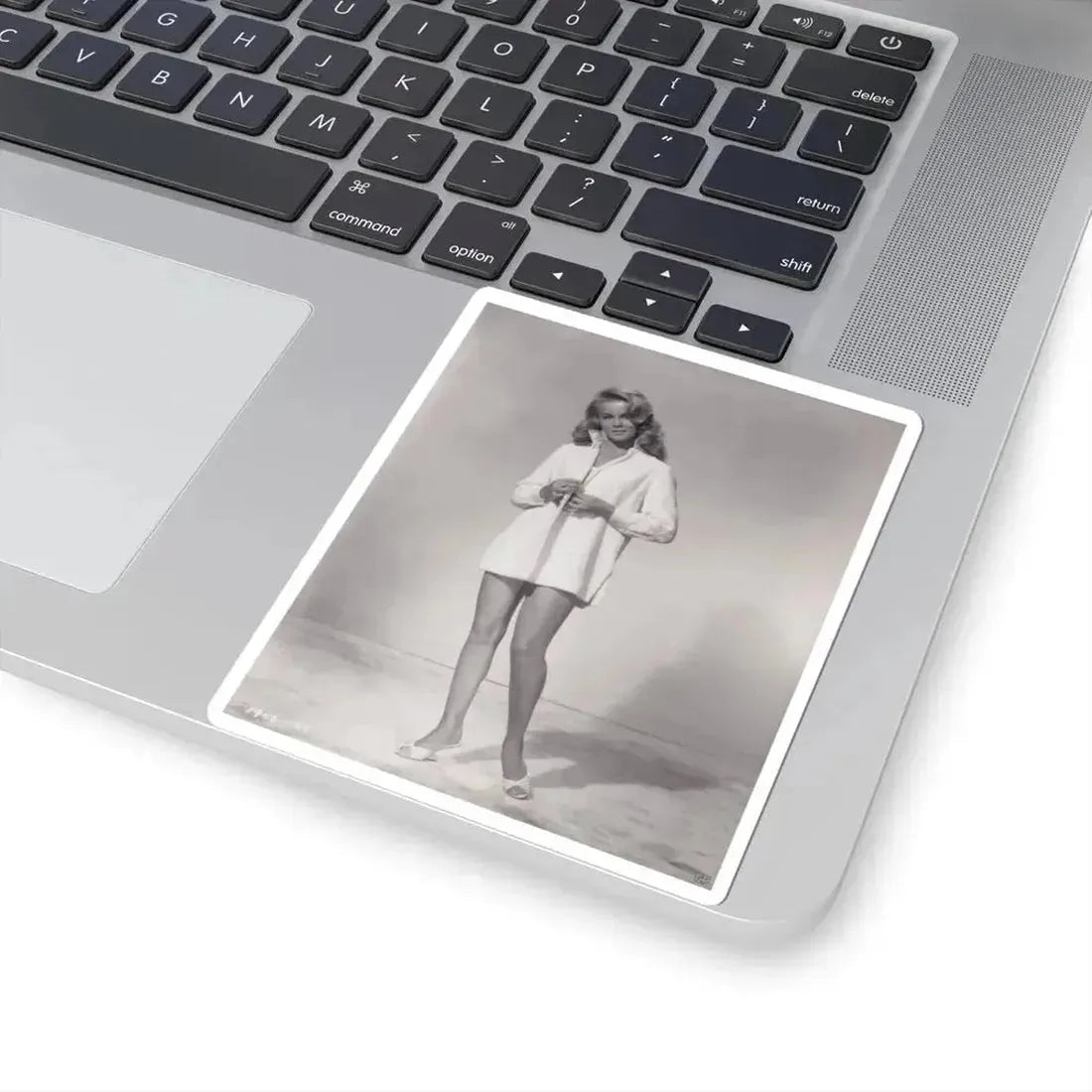 Ann-Margret #150 (Vintage Female Icon) STICKER Vinyl Kiss-Cut Decal - The Sticker Space