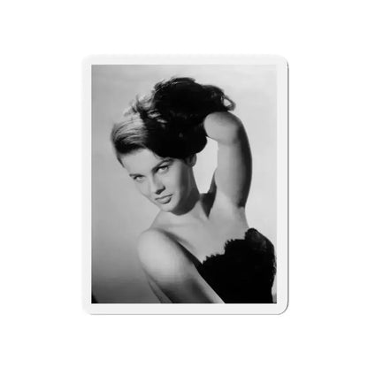 Ann-Margret #165 (Vintage Female Icon) Refrigerator Magnet - The Sticker Space