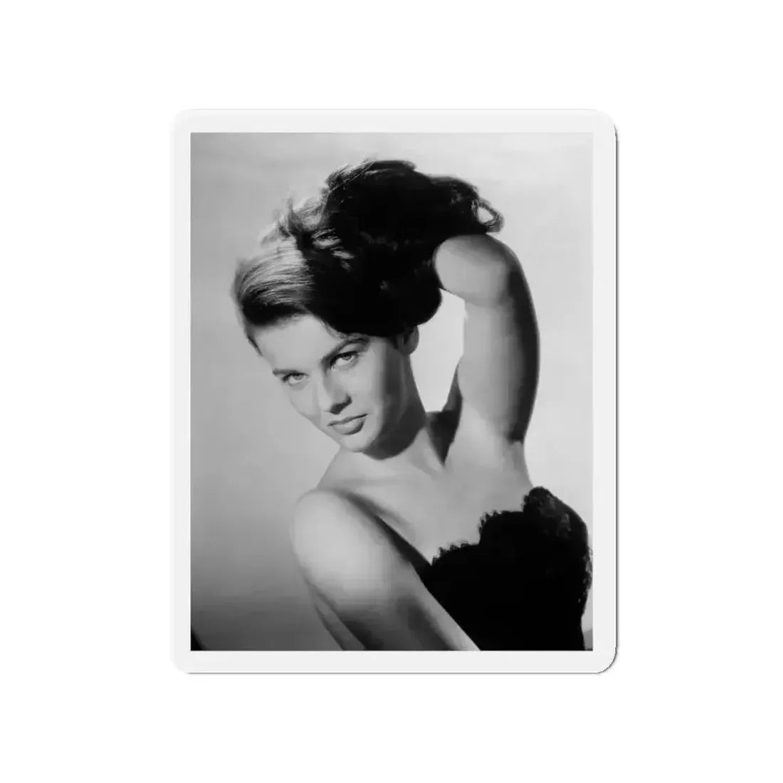 Ann-Margret #165 (Vintage Female Icon) Refrigerator Magnet - The Sticker Space