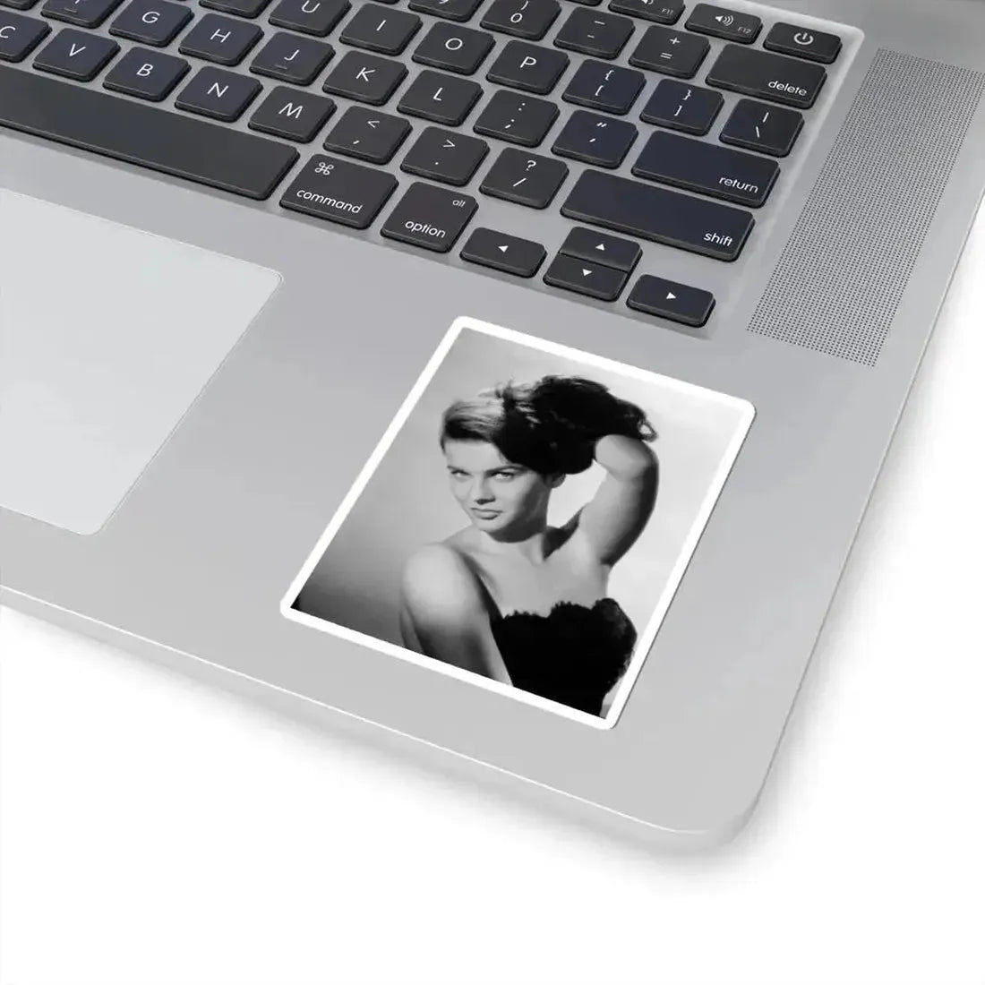 Ann-Margret #165 (Vintage Female Icon) STICKER Vinyl Kiss-Cut Decal - The Sticker Space