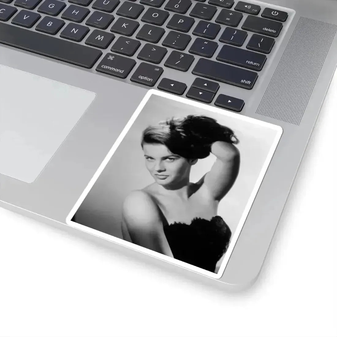 Ann-Margret #165 (Vintage Female Icon) STICKER Vinyl Kiss-Cut Decal - The Sticker Space