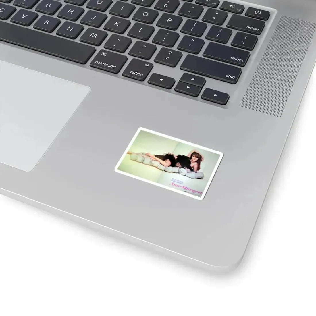 Ann-Margret #167 (Vintage Female Icon) STICKER Vinyl Kiss-Cut Decal - The Sticker Space