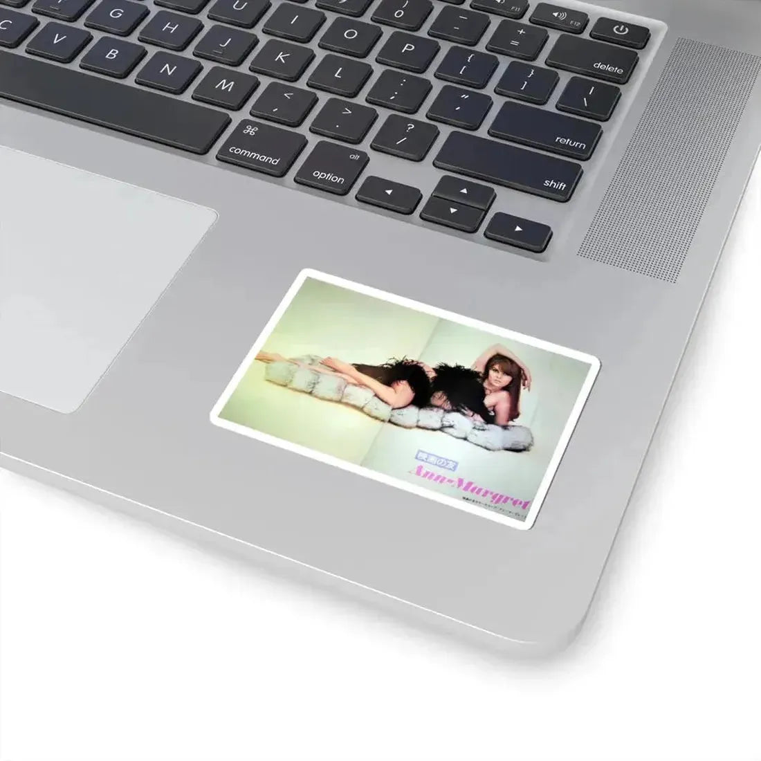 Ann-Margret #167 (Vintage Female Icon) STICKER Vinyl Kiss-Cut Decal - The Sticker Space