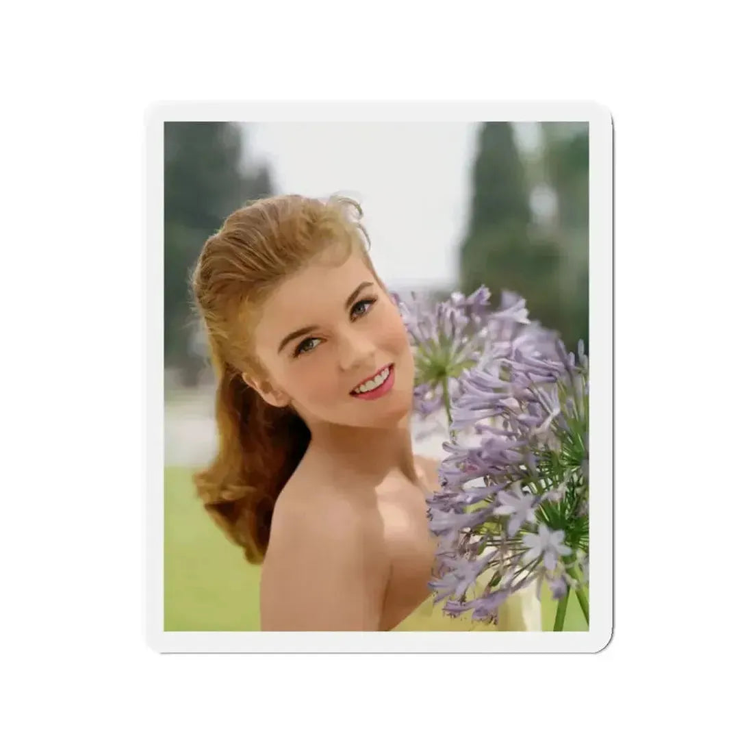 Ann-Margret #17 (Vintage Female Icon) Refrigerator Magnet - The Sticker Space