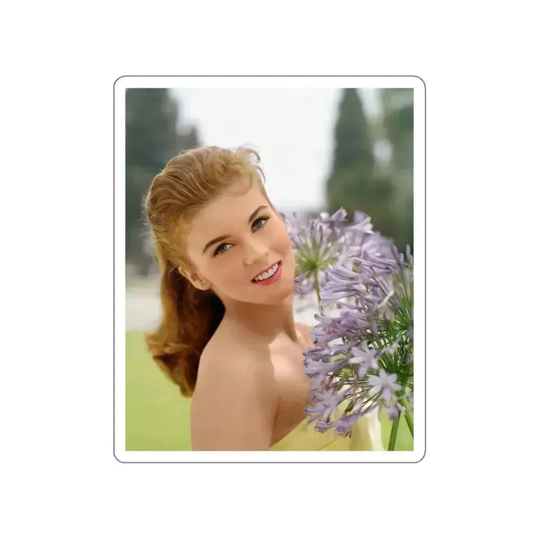 Ann-Margret #17 (Vintage Female Icon) STICKER Vinyl Die-Cut Decal White Die-Cut 3 Inch - The Sticker Space