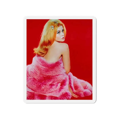 Ann-Margret #171 (Vintage Female Icon) Refrigerator Magnet - The Sticker Space