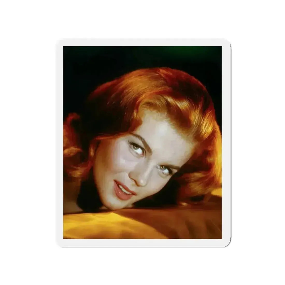 Ann-Margret #175 (Vintage Female Icon) Refrigerator Magnet 2 Inch Die-Cut - The Sticker Space