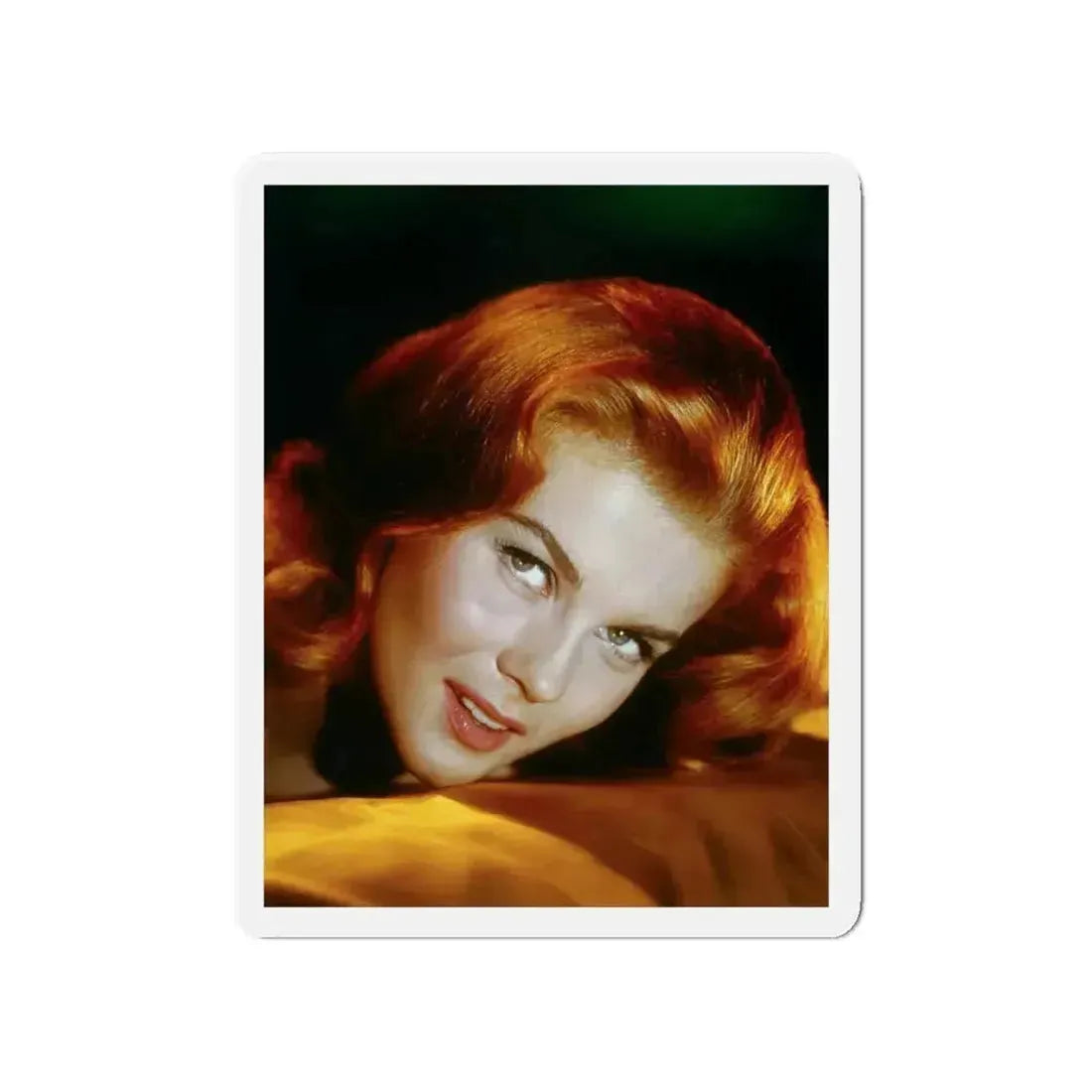 Ann-Margret #175 (Vintage Female Icon) Refrigerator Magnet 4 Inch Die-Cut - The Sticker Space