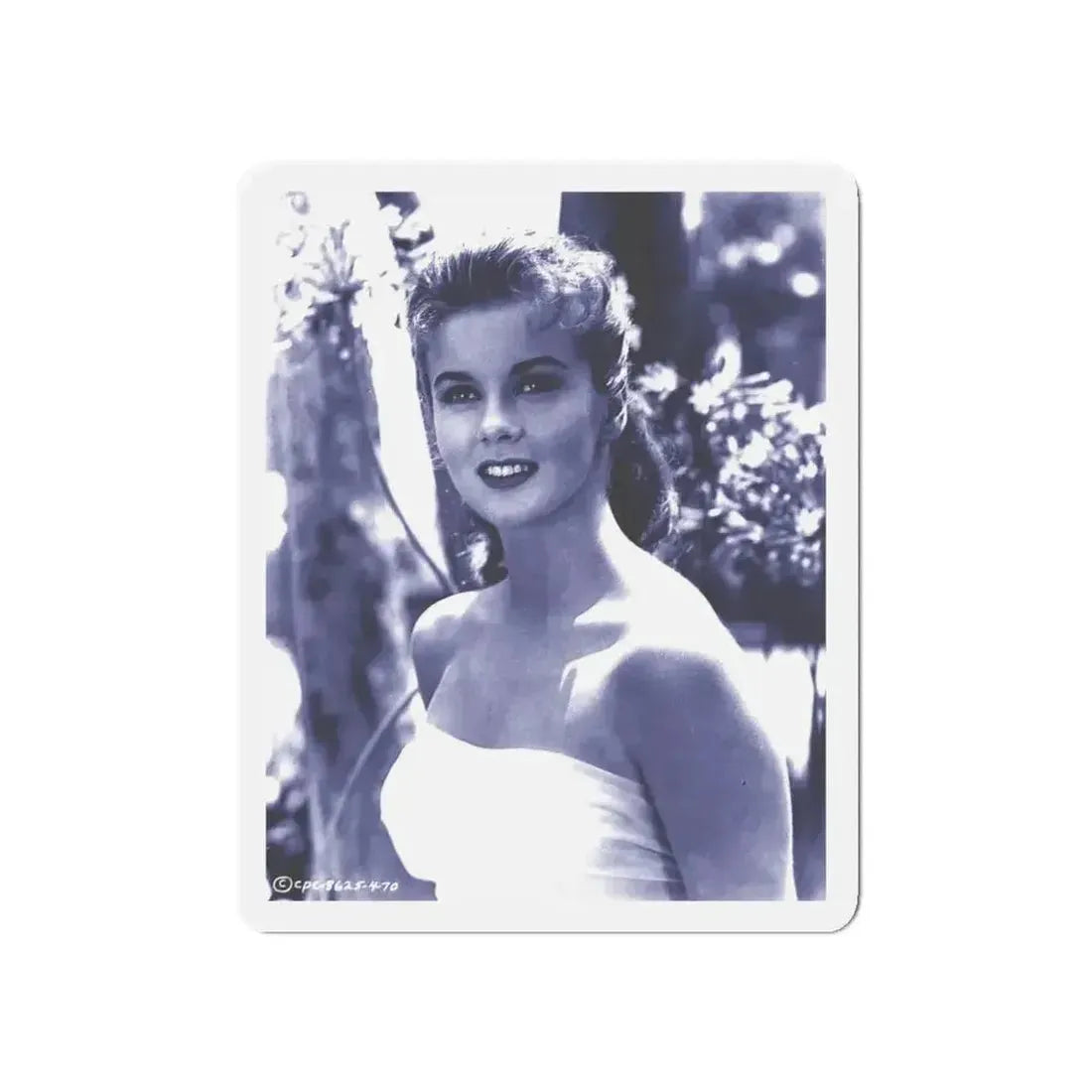Ann-Margret #183 (Vintage Female Icon) Refrigerator Magnet - The Sticker Space