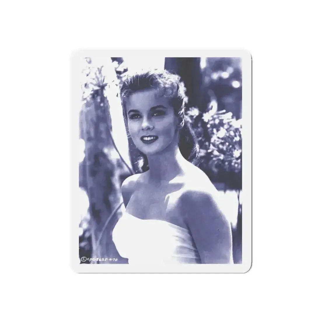 Ann-Margret #183 (Vintage Female Icon) Refrigerator Magnet - The Sticker Space