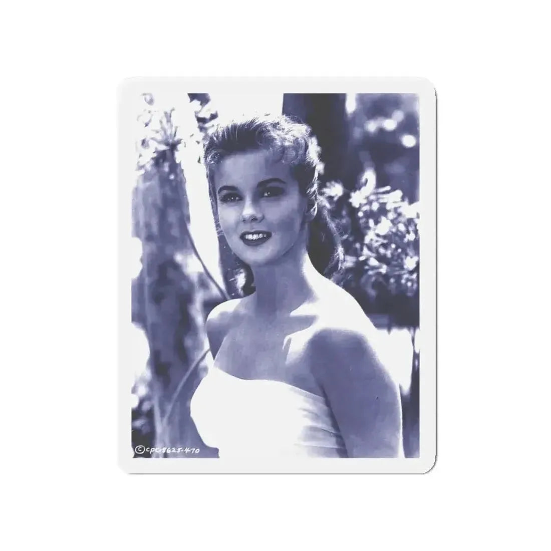 Ann-Margret #183 (Vintage Female Icon) Refrigerator Magnet - The Sticker Space