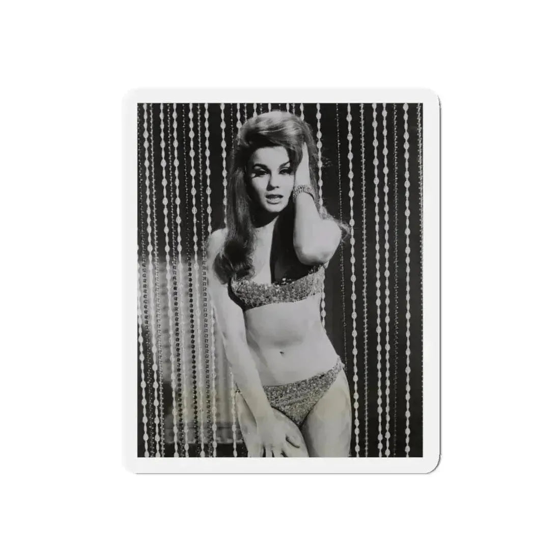 Ann-Margret #185 (Vintage Female Icon) Refrigerator Magnet 4 Inch Die-Cut - The Sticker Space