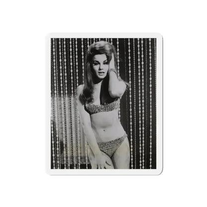Ann-Margret #185 (Vintage Female Icon) Refrigerator Magnet 4 Inch Die-Cut - The Sticker Space