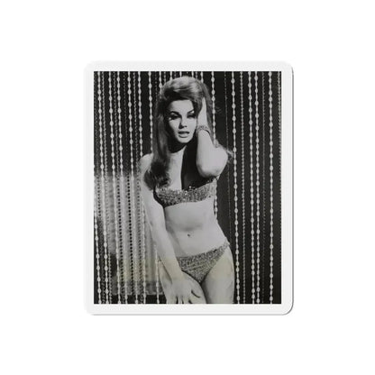 Ann-Margret #185 (Vintage Female Icon) Refrigerator Magnet 5 Inch Die-Cut - The Sticker Space