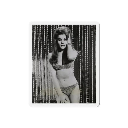Ann-Margret #185 (Vintage Female Icon) Refrigerator Magnet 6 Inch Die-Cut - The Sticker Space