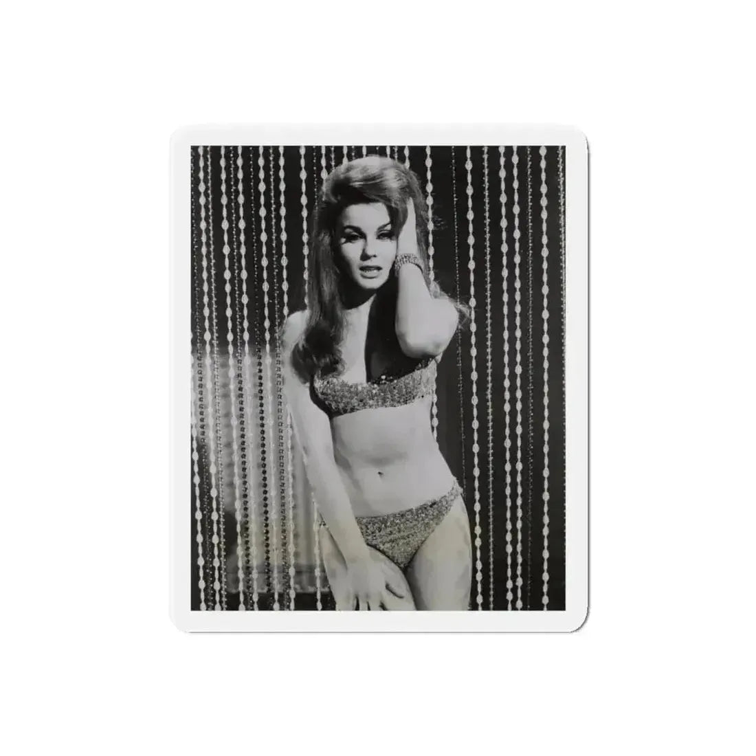Ann-Margret #185 (Vintage Female Icon) Refrigerator Magnet - The Sticker Space