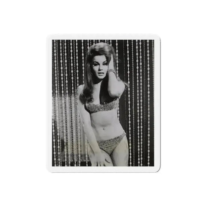 Ann-Margret #185 (Vintage Female Icon) Refrigerator Magnet - The Sticker Space