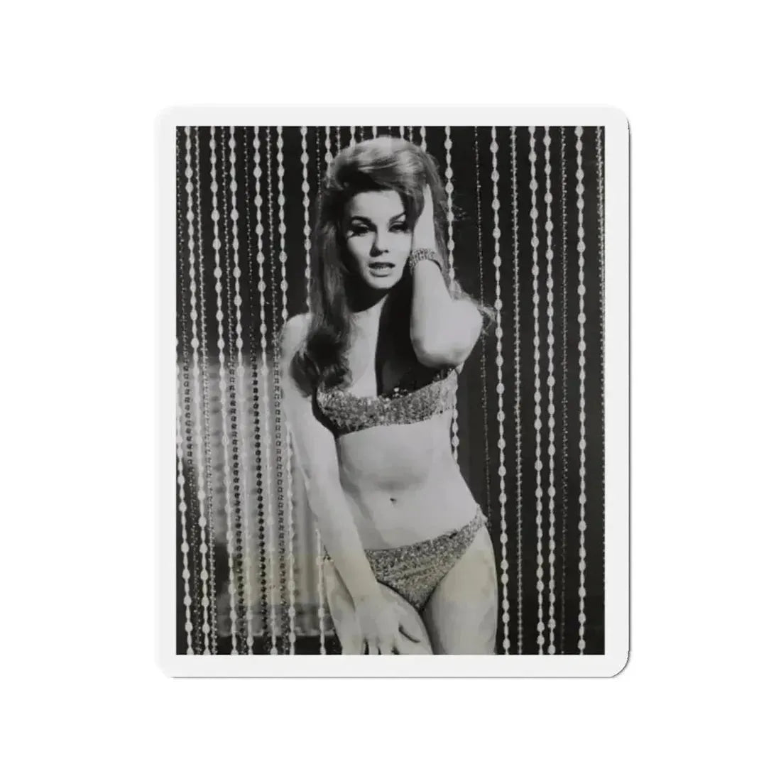 Ann-Margret #185 (Vintage Female Icon) Refrigerator Magnet - The Sticker Space