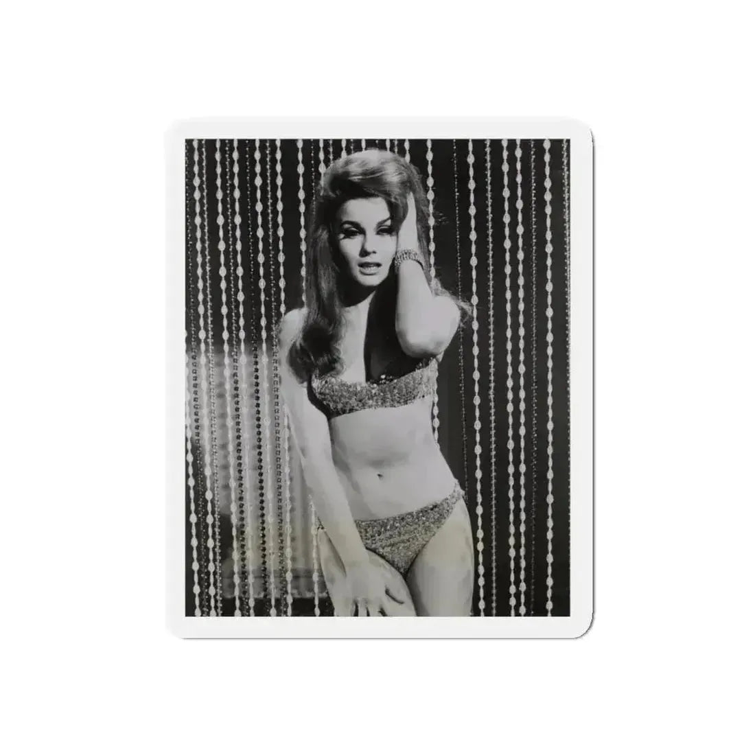 Ann-Margret #185 (Vintage Female Icon) Refrigerator Magnet - The Sticker Space