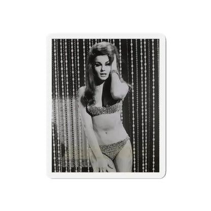 Ann-Margret #185 (Vintage Female Icon) Refrigerator Magnet - The Sticker Space